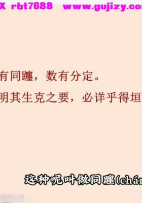 知易而行 紫匍老师 人生指南 紫微斗数 进阶课 9集视频课💰5