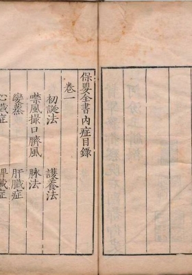 《保婴全书》薛铠 薛己💰6