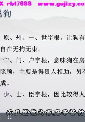 知易而行紫匍老师《姓名学》每个人都会用到的生活智慧，取个好名字受益一生 10集视频