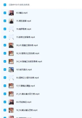 苗老师小灵招【110节课程】完整版视频课💰5