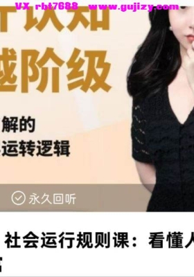 野生老板 社会运行规则课 看懂人性、关系、财富！视频带思维导图💰5