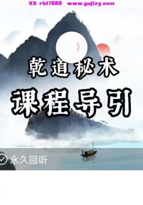 【导引功】乾道秘术十集视频课💰5