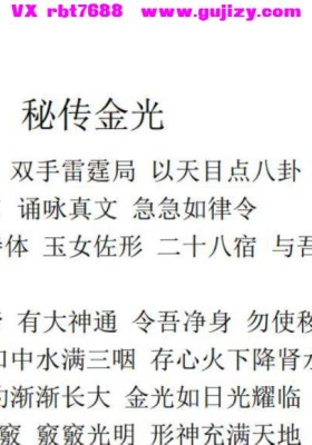 秘传金光法  仅法本💰5