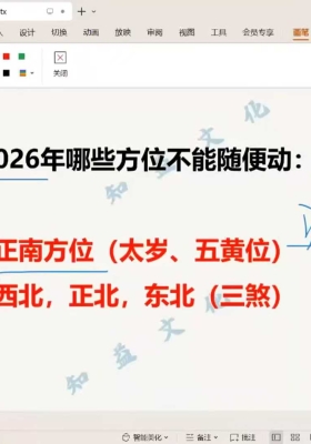 2026化太岁-年运分析 视频一集💰5
