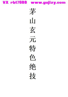 茅山特色绝技一期  .pdf 仅法本💰5