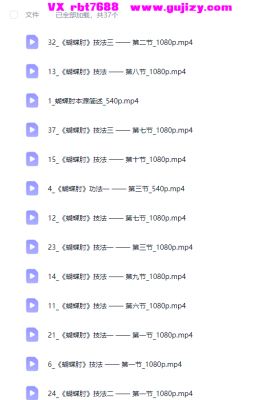 心欲武道《蝴蝶肘》视频教程王逸然37集视频💰5