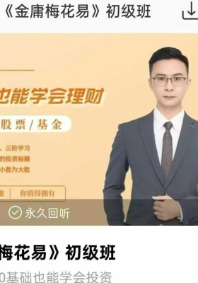 玄学股票！苏志荣金庸梅花易初级16集视频+中阶10集视频两套合集 💰5