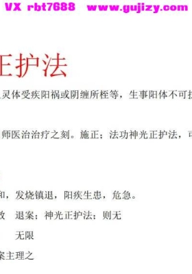 神光正护法 仅法本 pdf💰5