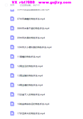 ：魏文彬老师 药王奇术化瘀重症调理21集视频