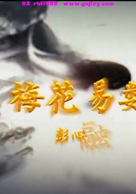 彭心融梅花易数高清视频32集💰5