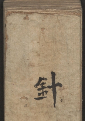 《王国栋针灸图》针灸秘本💰5