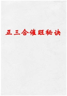 正三合催旺秘诀秘籍绝无雷同 ￥8
