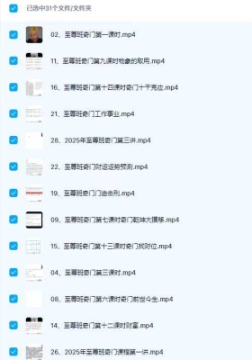 道源2025年最新《奇门至尊班催桃花斩桃花婚姻和合局》31集视频课💰5
