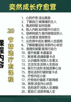 奕然成长疗愈营 365天社群陪伴 正念疗愈成长营 19集视频课💰5