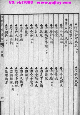 《百病治疗丹方》💰5