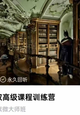 无忧老叔 紫微斗数基础38集 ➕高级83集视频合集 ￥5