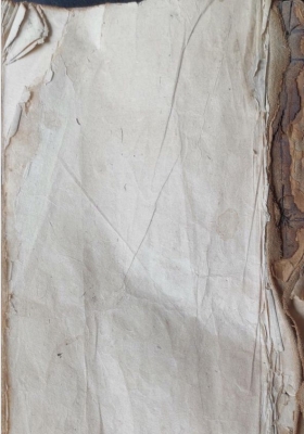 《丰都灭巫灭绝生魂邪巫符秘并阴阳二事诸项秘诀》💰5