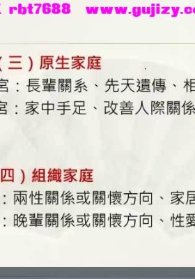 玄祥道传紫微斗数初阶班4天视频8小时💰5