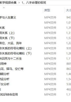 玄而未八字命理决初级16集教学视频课💰5