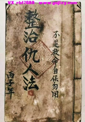 《整治仇人法》黑白版💰6