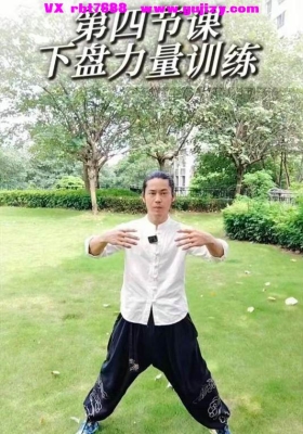 《功夫推拿全套手法》线上视频课12讲💰5