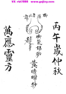 《万应灵方》💰5