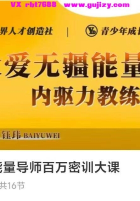 【成长疗愈】内驱力能量导师百万密训大课16集视频课💰5