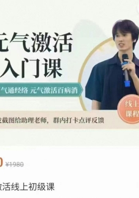 无忌老师 元气激活线上初级课💰5