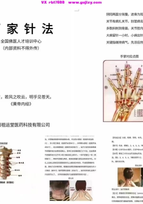 百家针法内部培训班高清讲义107页💰5