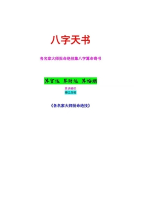 《八字天书》💰5