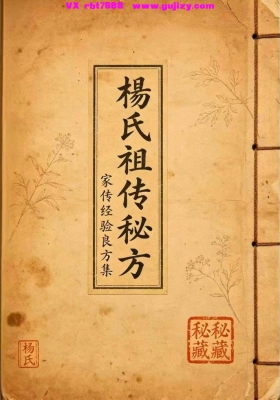 《杨氏祖传秘方手稿》💰5