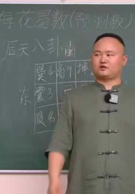 司青霖《梅花易数》教学视频22集集，每个视频2小时左右💰5