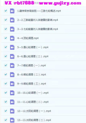 藏医秘宗高级班50集视频课💰5