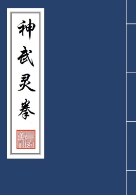 《神武灵拳》打印版💰5