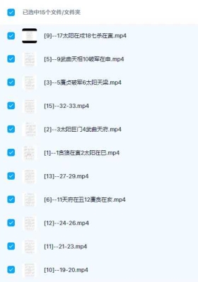 天乙上人紫微斗数命例婚姻15集视频💰5