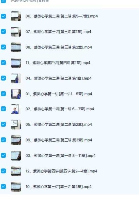 黎荔紫微心学初阶课12集视频课💰5