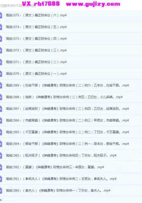 吕老师《八字实战高级班第六章》243集 视频课💰5