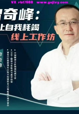 曾奇峰新课：停止自我耗竭线上工作坊六集视频课💰5