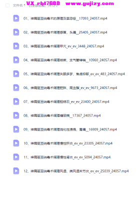 道医张东方张道长-神霄驱豆纳毒术12讲 道医秘传绝技💰8