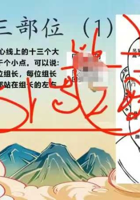 梓源居书苑《面相识人》洞见你的一生剧本，教学视频24集💰5