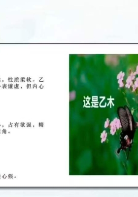 明老师《八字六亲》教学视频11集，共16小时课时💰5