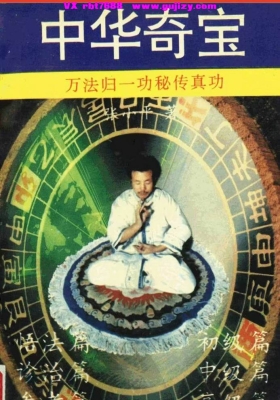 《中华奇宝万法归一功秘传真功》💰5