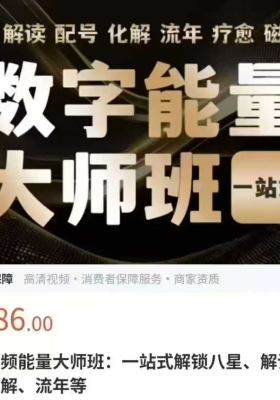 数字能量数字调频能量大师班50集视频  ￥10