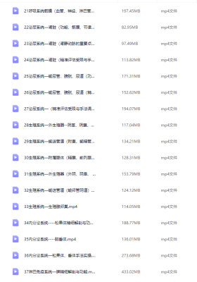 张美玲40节内脏精细解剖与疼痛及功能障碍与处理手法实操40集视频课程💰5