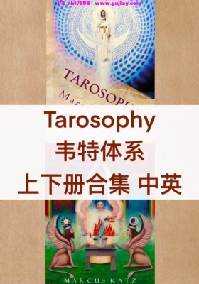 塔罗Tarosophy上下册｜韦特体系｜稀有塔罗书！英文原版➕中文机翻➕中英对照💰5