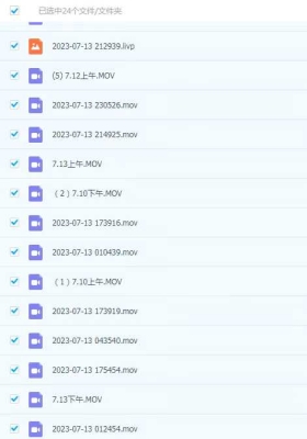 崔文举2023 崔文举风水面授课 22集视频课加两个图片💰5