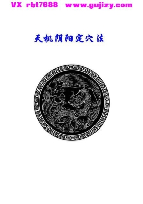《赖公天机阴阳定穴法》💰5