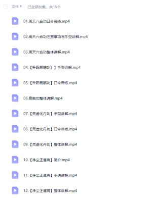 洞玄元厚《修身必学五术》系列课15节视频💰5