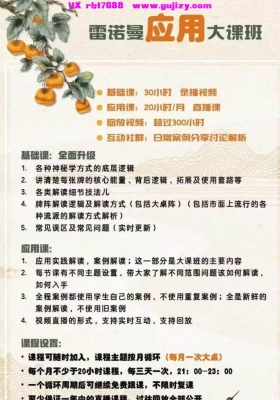 【雷诺曼新课】2025年B站一‮见针‬血的白姐姐应‮大用‬课 基础➕应用 视频课件大合
