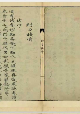 《封刀接骨一宗》💰5